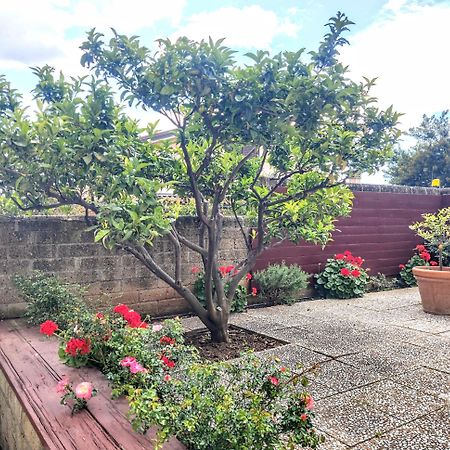 Appartamento Galgani San Vincenzo Exterior foto