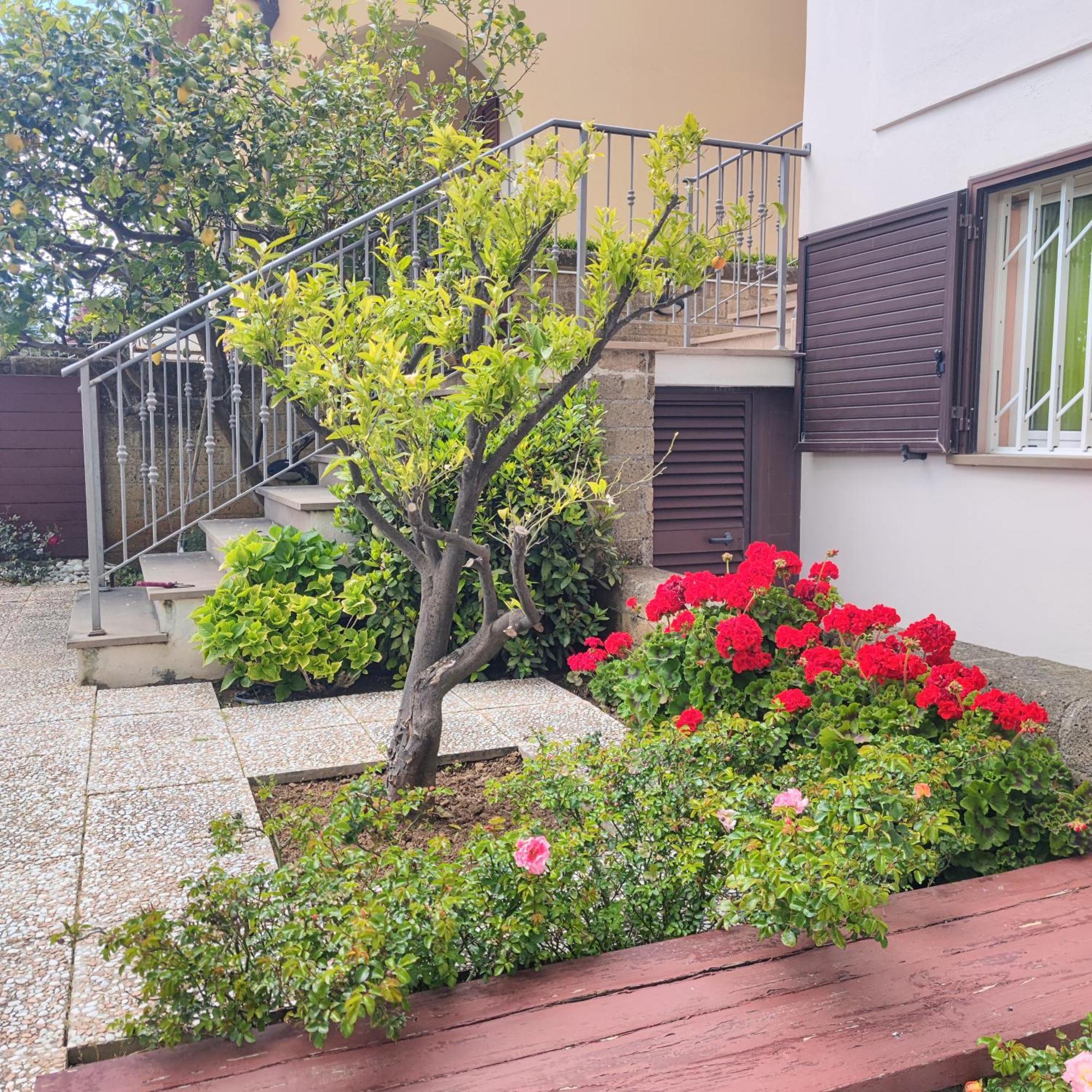 Appartamento Galgani San Vincenzo Exterior foto