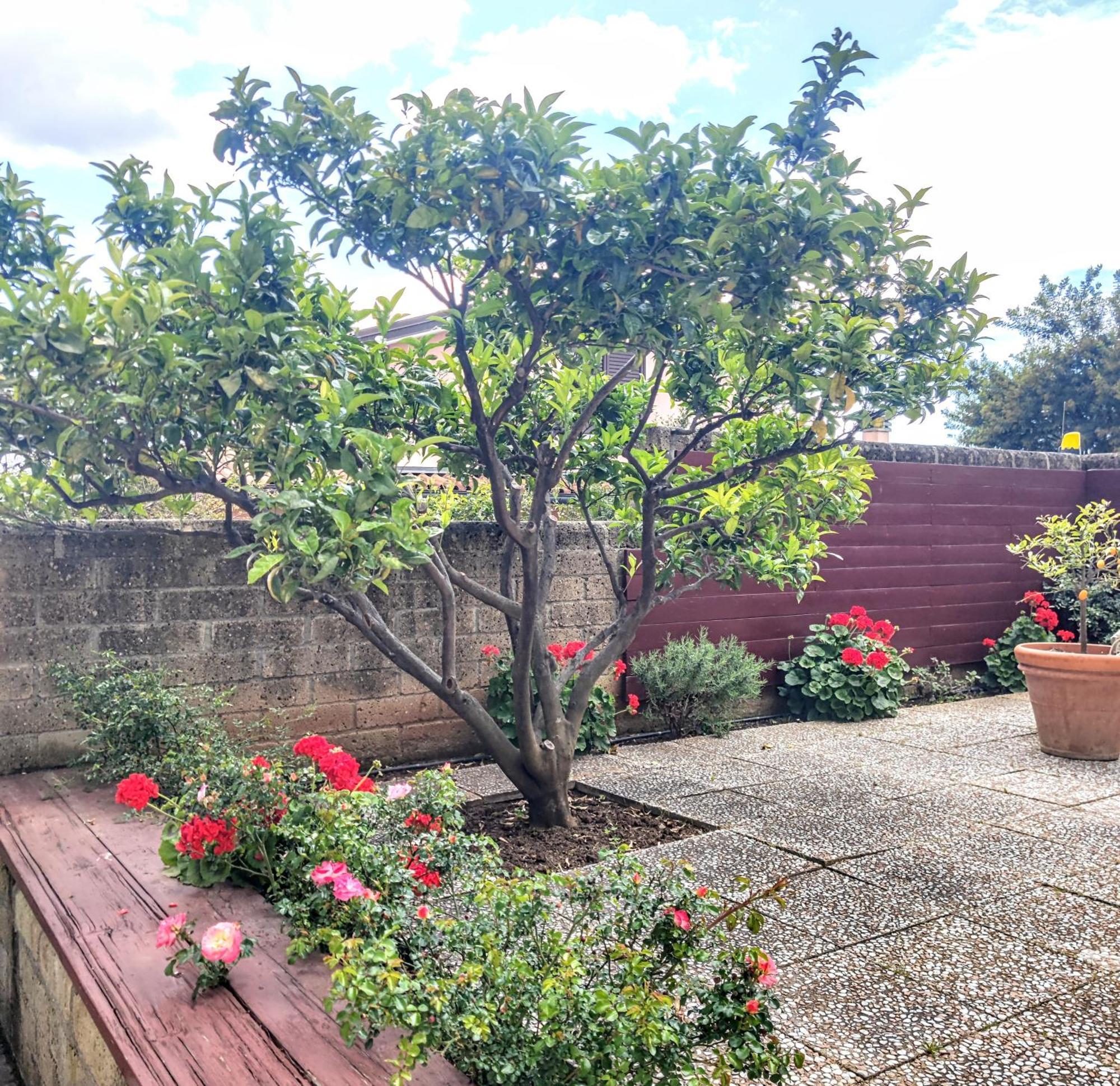 Appartamento Galgani San Vincenzo Exterior foto